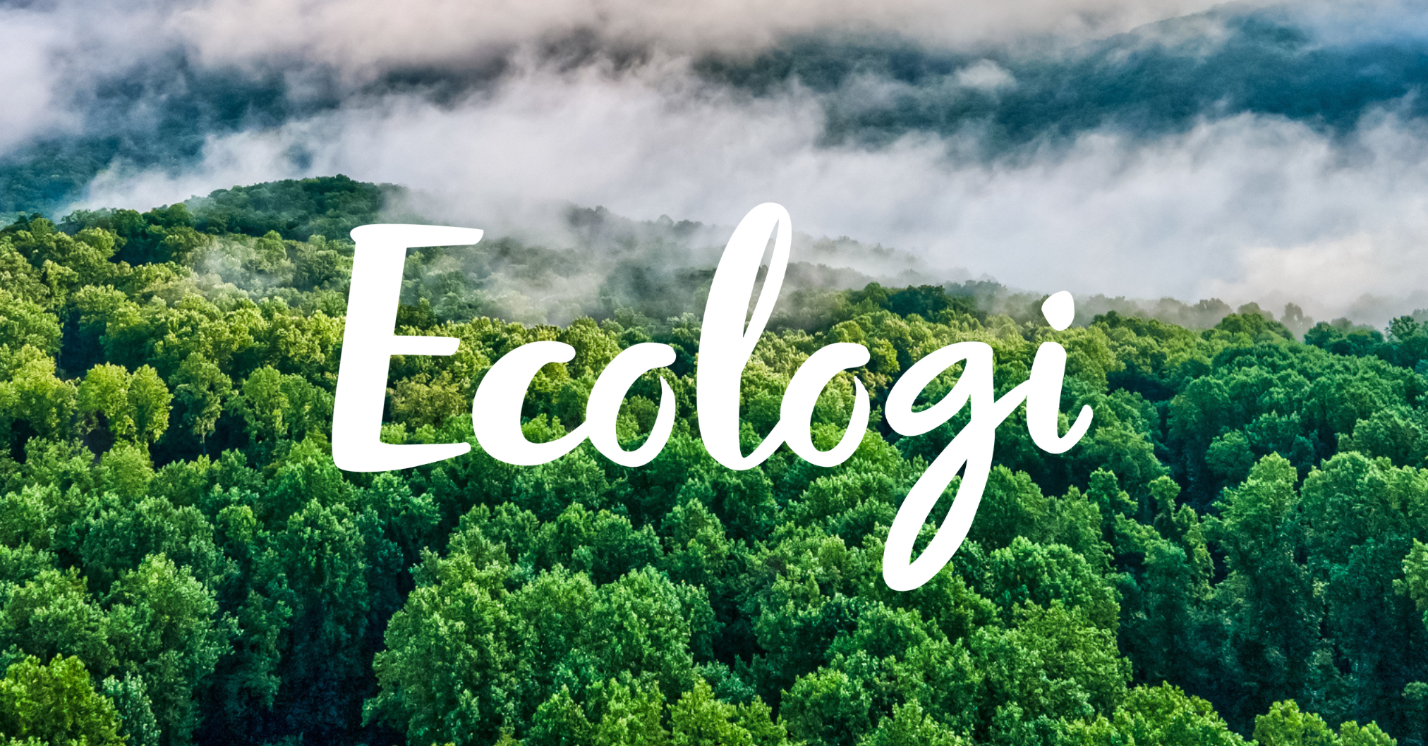 Ecologi Marketing